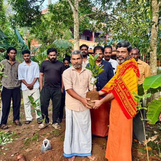 വൃക്ഷ തൈകൾ നട്ടു