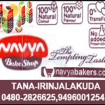 NAVYA-RESIZE